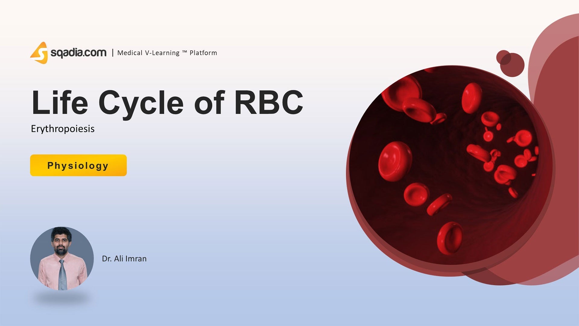 Erythropoiesis Life Cycle of RBC