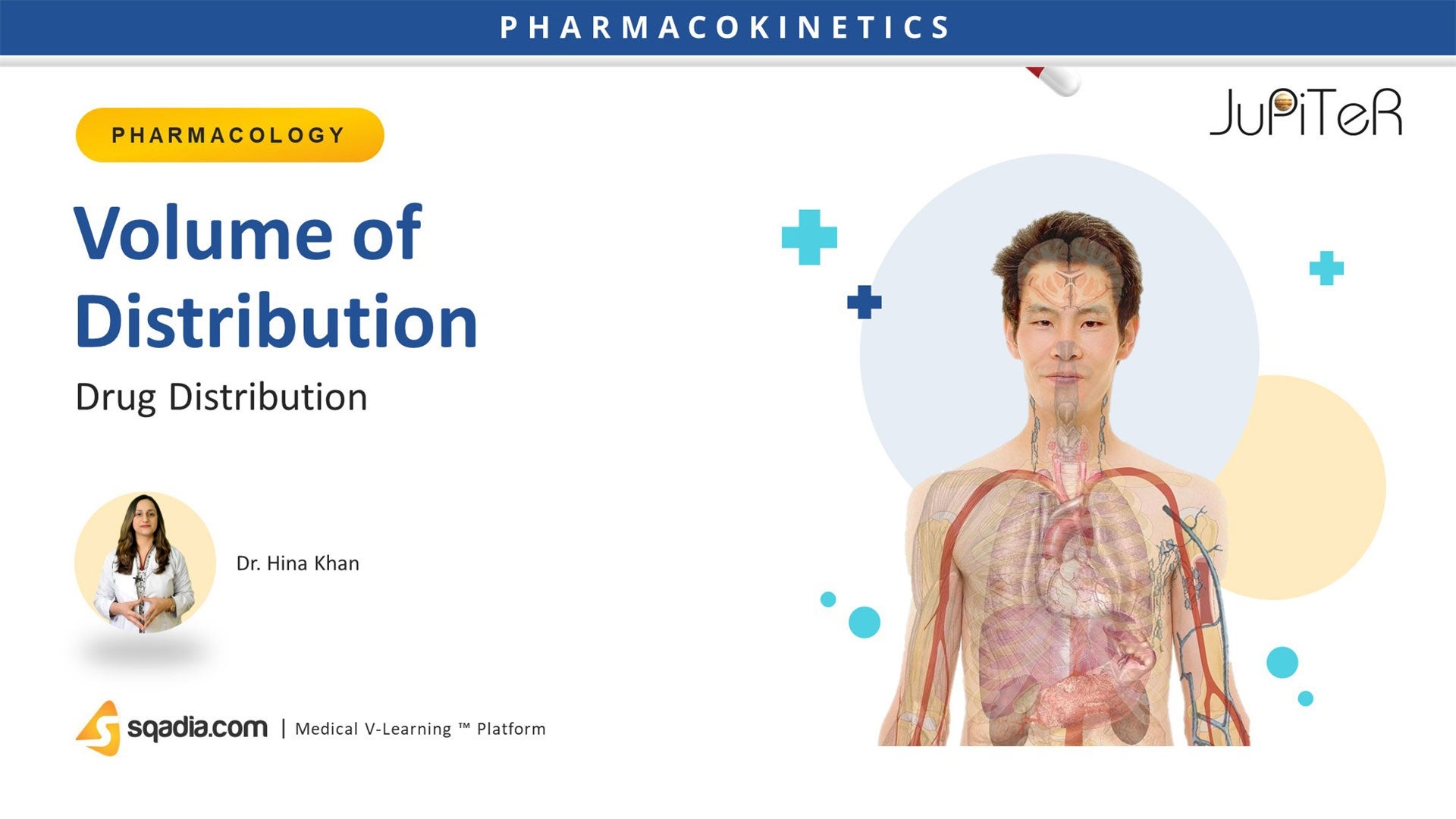 Drug Distribution Volume of Distribution