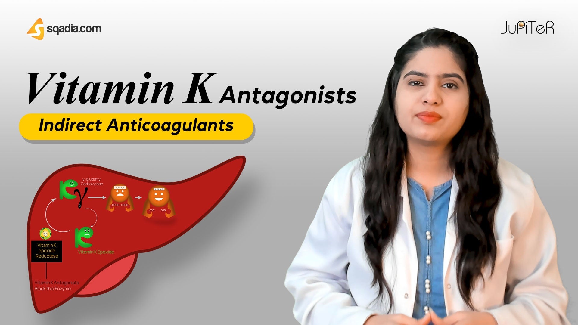 Vitamin K Antagonists Introduction