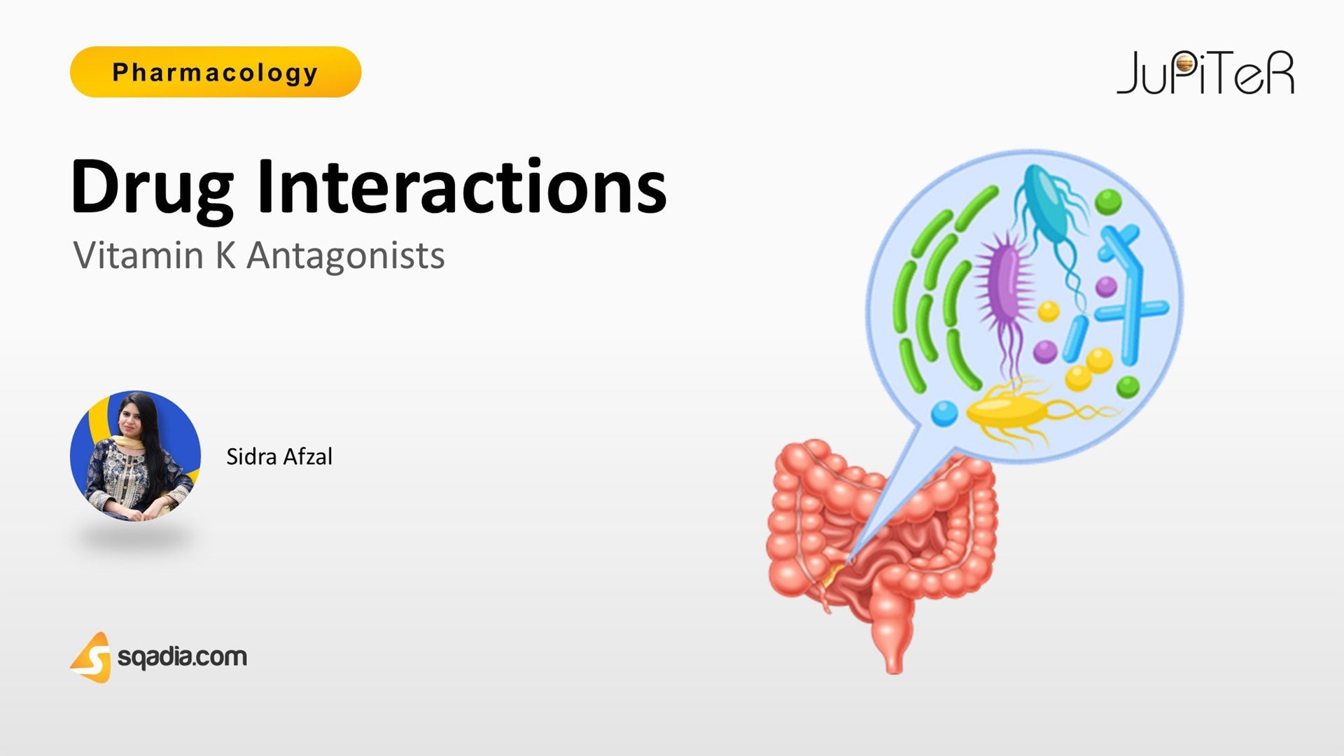 Vitamin K Antagonists Drug Interactions