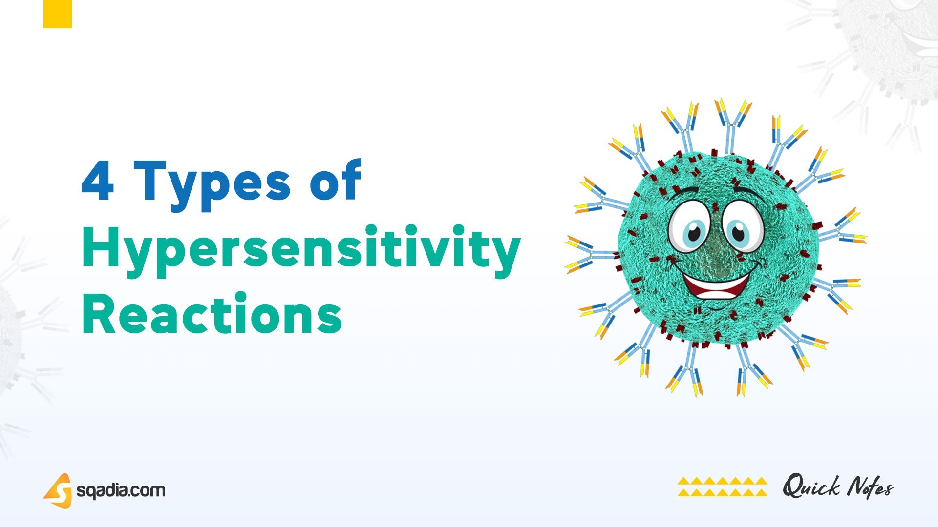 4-types-of-hypersensitivity-reactions-introduction