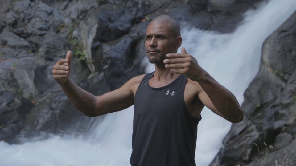 POSTURE DE L'ARBRE | Qi Gong en ligne | Zhan Zhuang | TAOflow